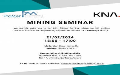 Practical finance and engineering approaches to the mining sector